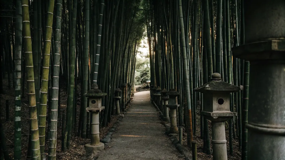 Fushimi Inari tempļa oranžie torii vārti Kioto ar ceļotāju siluetu Fushimi Inari tempļa oranžie torii vārti Kioto ar ceļotāju siluetu