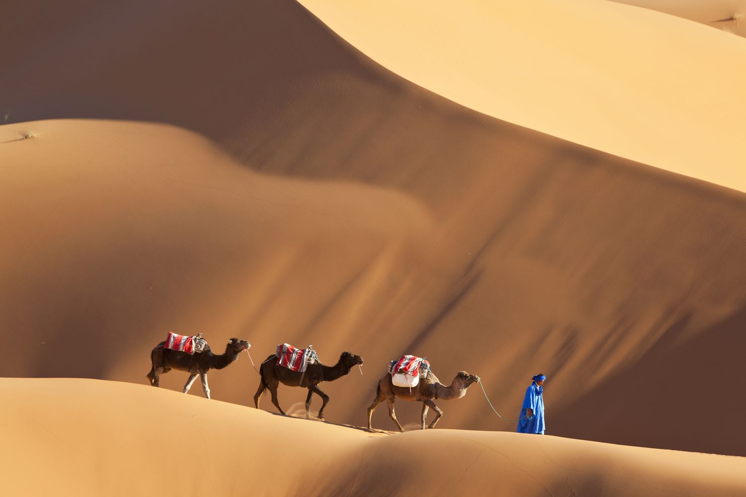 Merzouga dīnas Sahāras tuksnesī — smilšu viļņi sarkansarkanā saulrieta gaismā Merzouga dīnas Sahāras tuksnesī — smilšu viļņi sarkansarkanā saulrieta gaismā