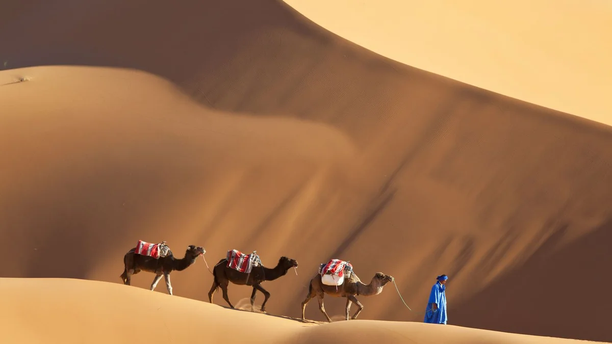 Merzouga dīnas Sahāras tuksnesī — smilšu viļņi sarkansarkanā saulrieta gaismā Merzouga dīnas Sahāras tuksnesī — smilšu viļņi sarkansarkanā saulrieta gaismā