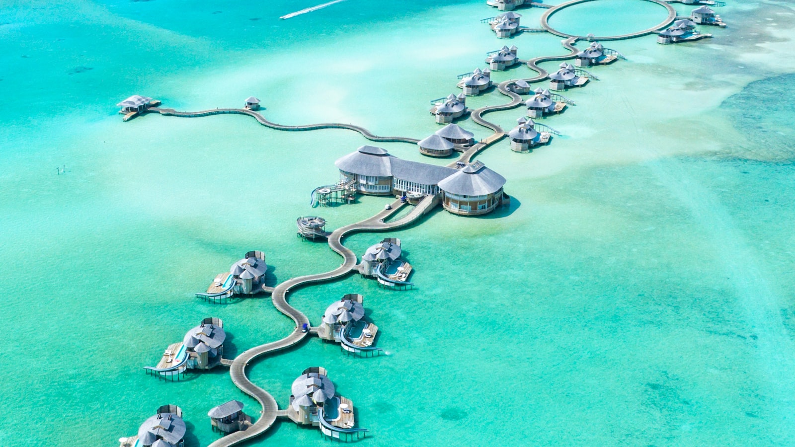 Zanzibāras sarkanaini smilts pludmale ar palmu kokiem un Maldīvu kristālskaidrs ūdens ar viļļu pāli uz horizonta Zanzibāras sarkanaini smilts pludmale ar palmu kokiem un Maldīvu kristālskaidrs ūdens ar viļļu pāli uz horizonta